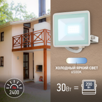 Прожектор светодиодный уличный ЭРА LPR-023-W-65K-030 30Вт 6500K 2400Лм IP65 белый'