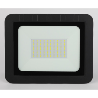 Прожектор светодиодный уличный ЭРА PRO LPR-061-0-65K-100 100Вт 6500К 9000Лм IP65'